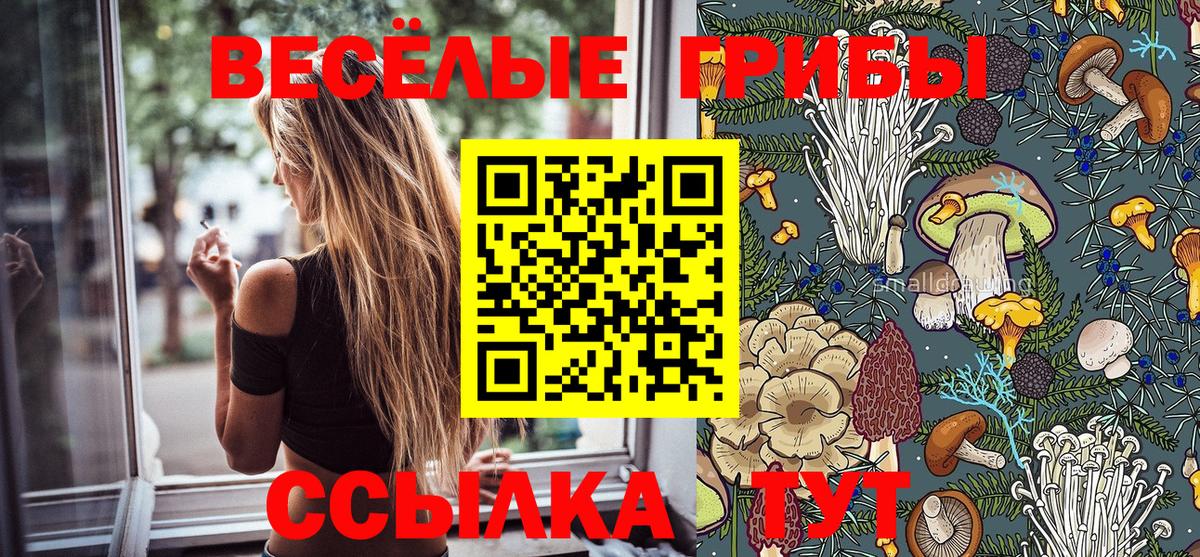 Псилоцибиновые грибы мухоморы Самара