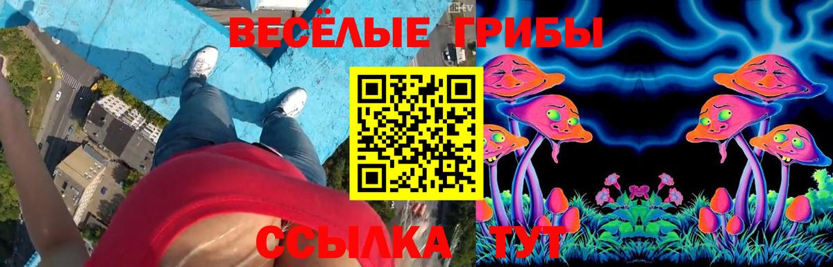 Самара  Псилоцибиновые грибы мухоморы  купить   Вход с VPN 